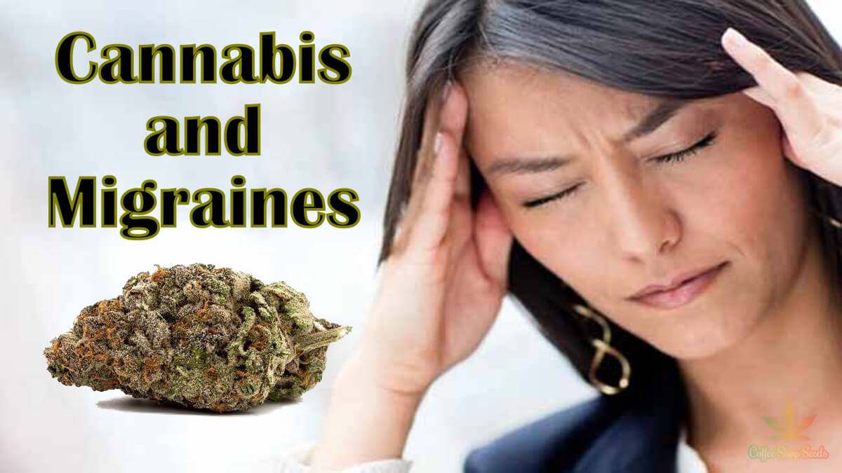 Cannabis and Migraines