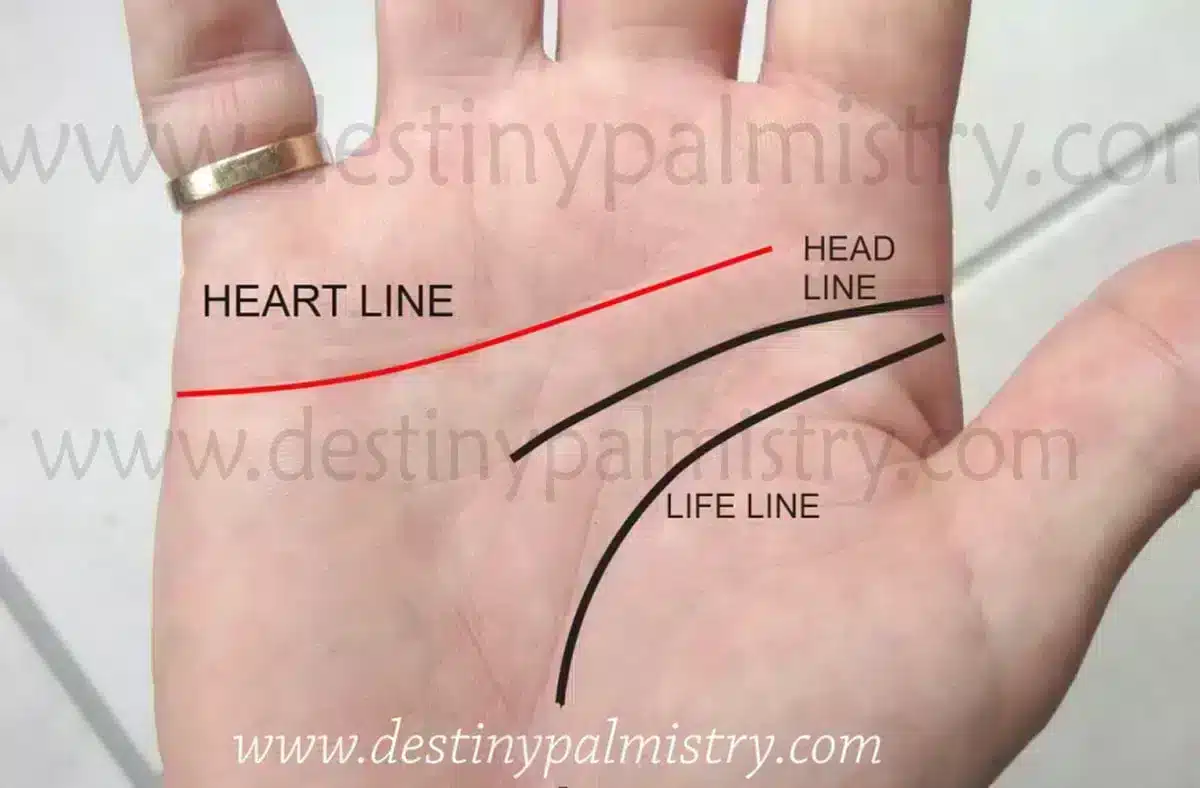 heart line