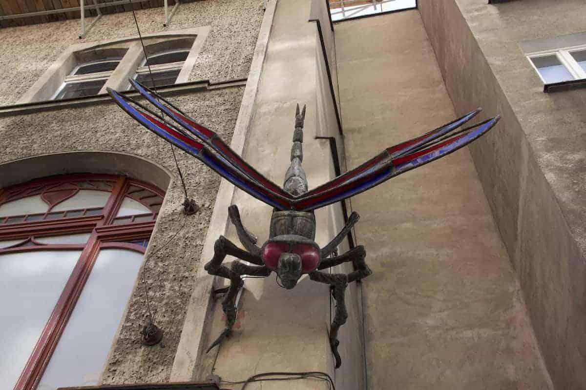 A large, metallic dragonfly sculpture with red and blue wings adorns the exterior wall&mdash;a striking example of Wroclaw Street Art that adds vibrant character to the city's creative urban landscape.