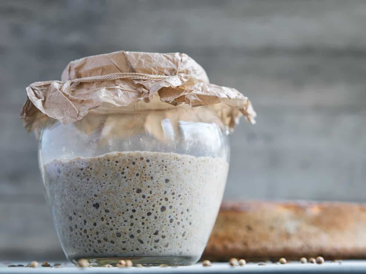 Rye sourdough starter next to Polish bread.