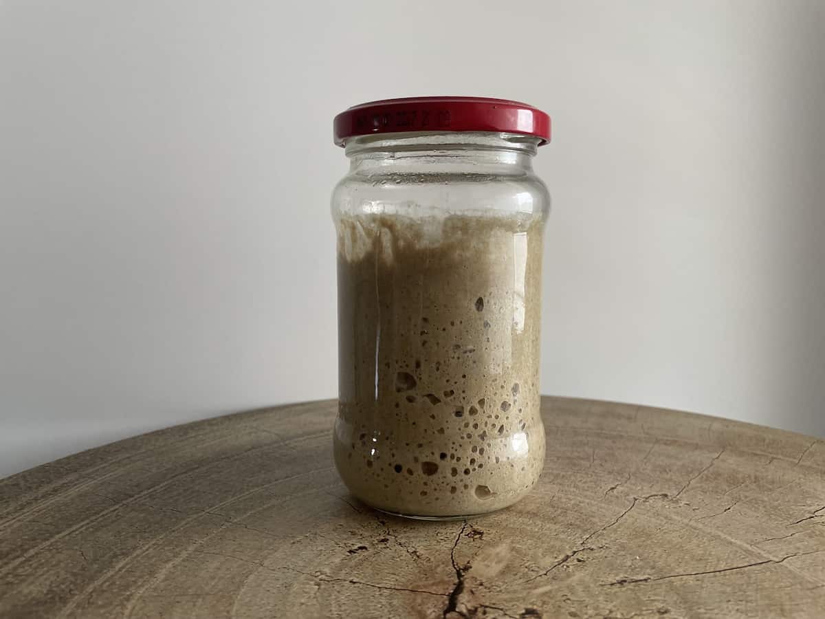 Full jar of zakwas zytni sourdough starter.