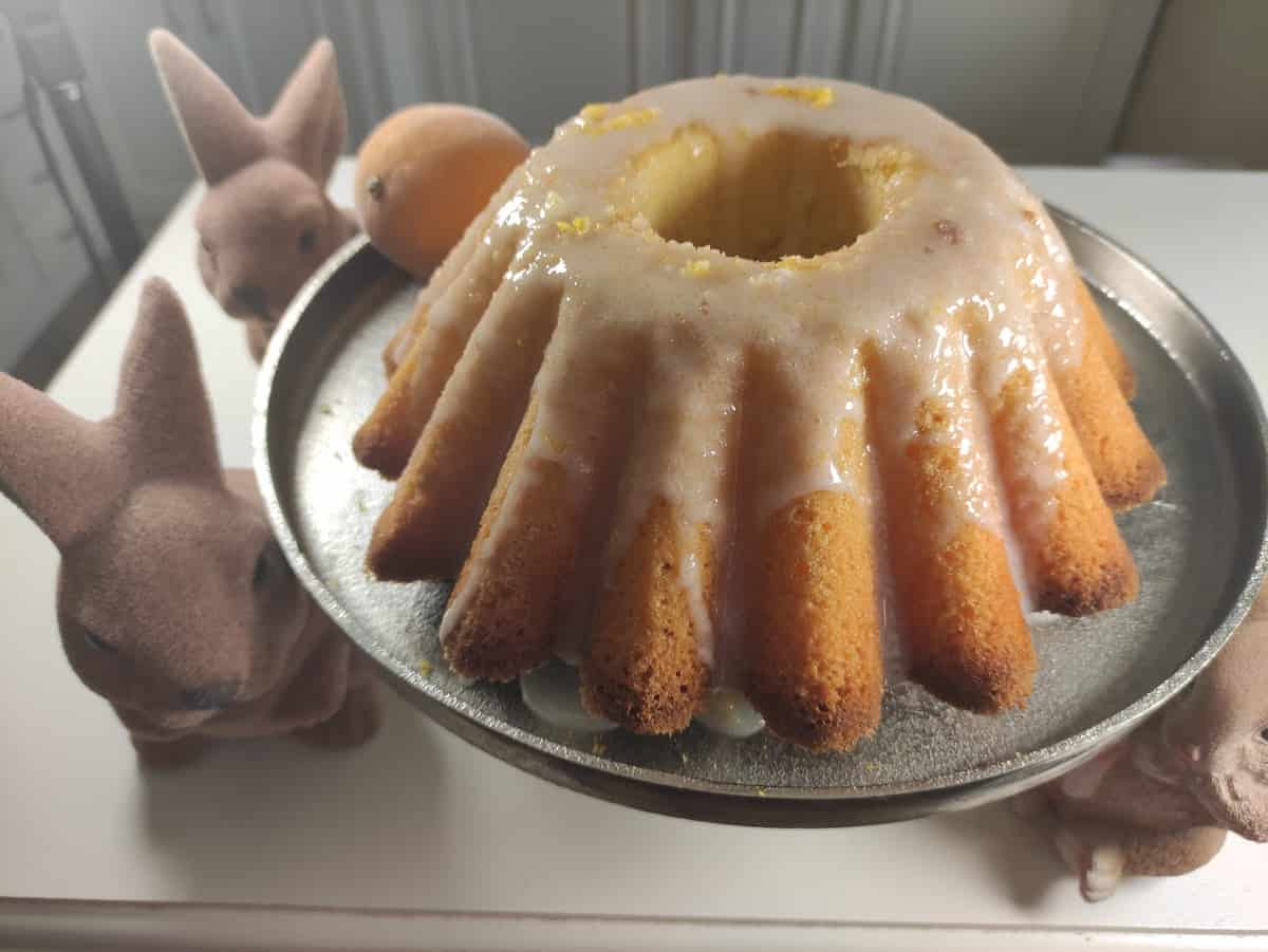 The iconic Babka shape