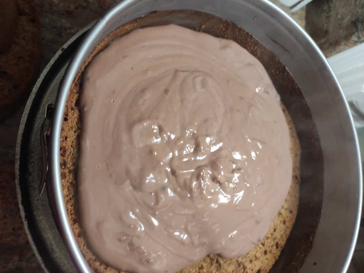 Add the pudding layer for the Polish tea cake