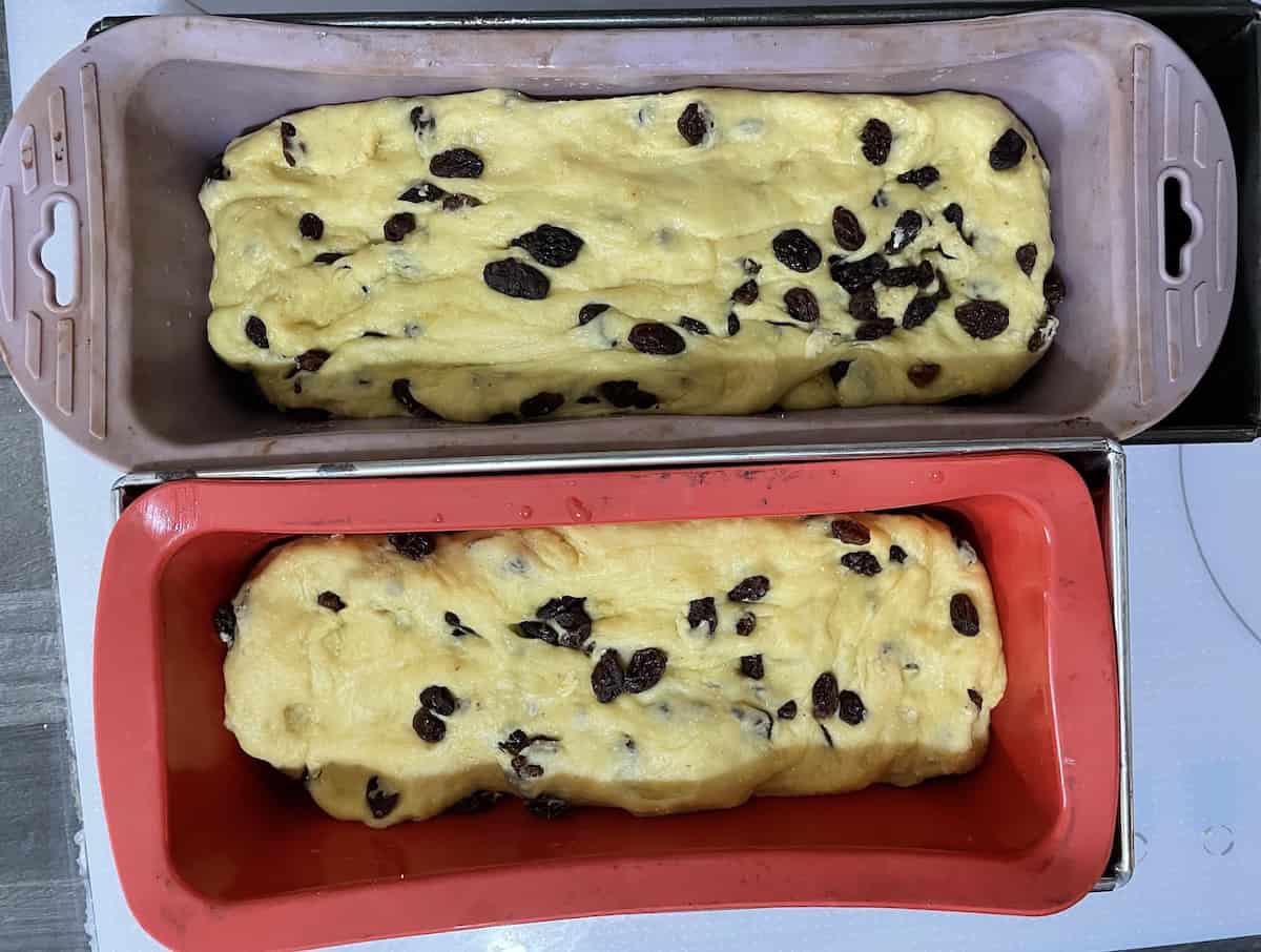 Raisin bread dough left to rise in bread pans.