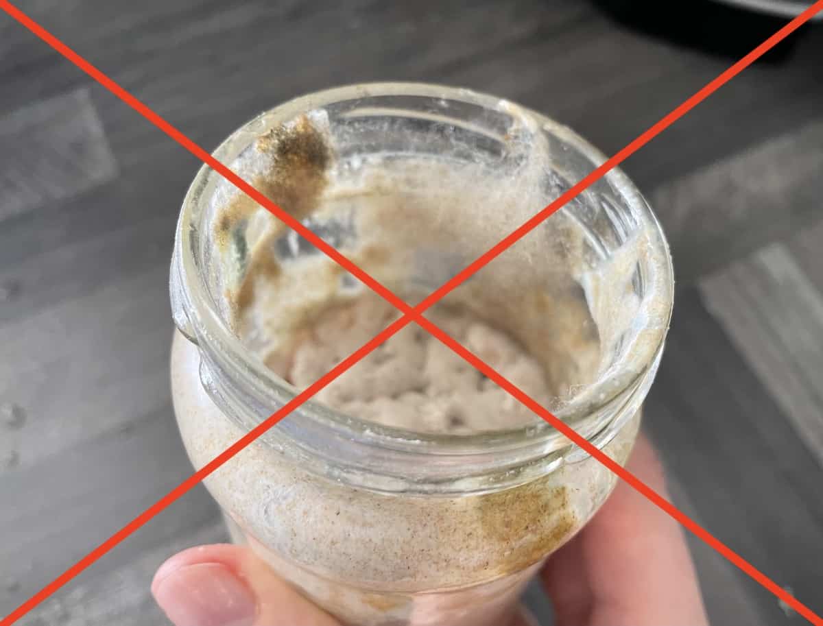Bad sourdough starter.