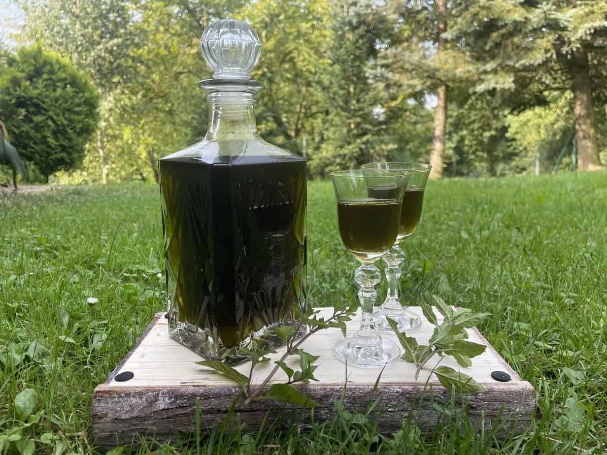 A bottle of Polish mint vodka and two glasses on a wooden board.