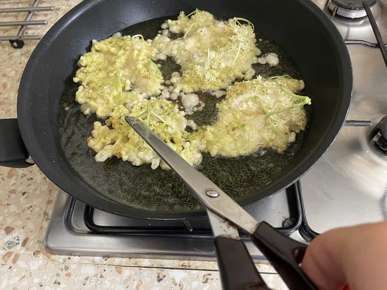 A person holds scissors over a pan frying four pieces of food in oil. The batter-covered and lightly fried food, topped with green herbs, looks like Placki Z Kwiat&oacute;w Czarnego Bzu, a traditional recipe featuring elderflower blossoms.
