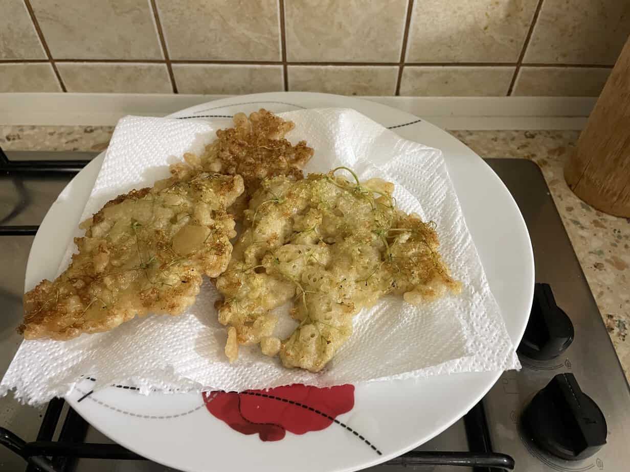 Two pieces of fried food, following the Black Lilac Pancakes recipe, rest on a paper towel-lined plate set on a kitchen counter with a stovetop and backsplash tiles in the background.