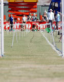Stawell-Gift-2009_0086_1984x2532_6197602