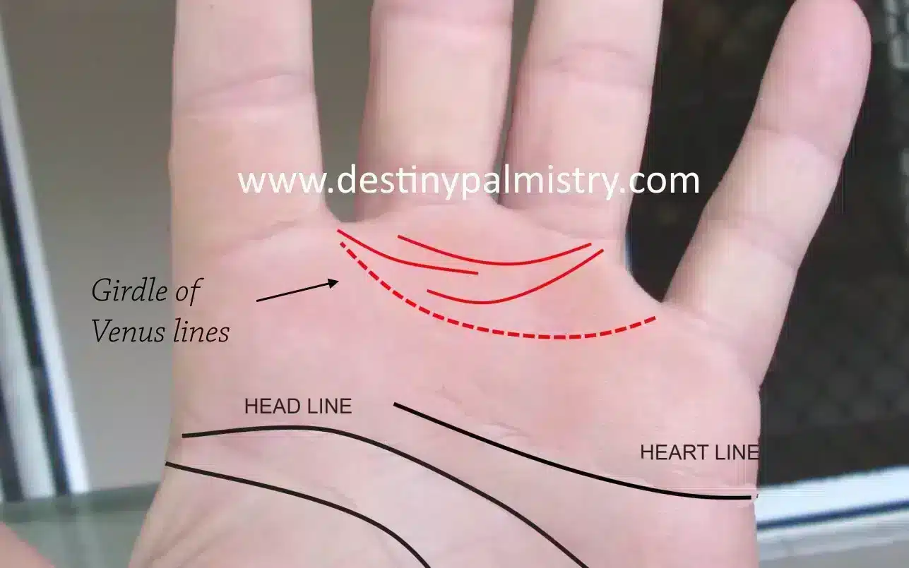 girdle of venus, destiny palmistry, image by sari puhakka