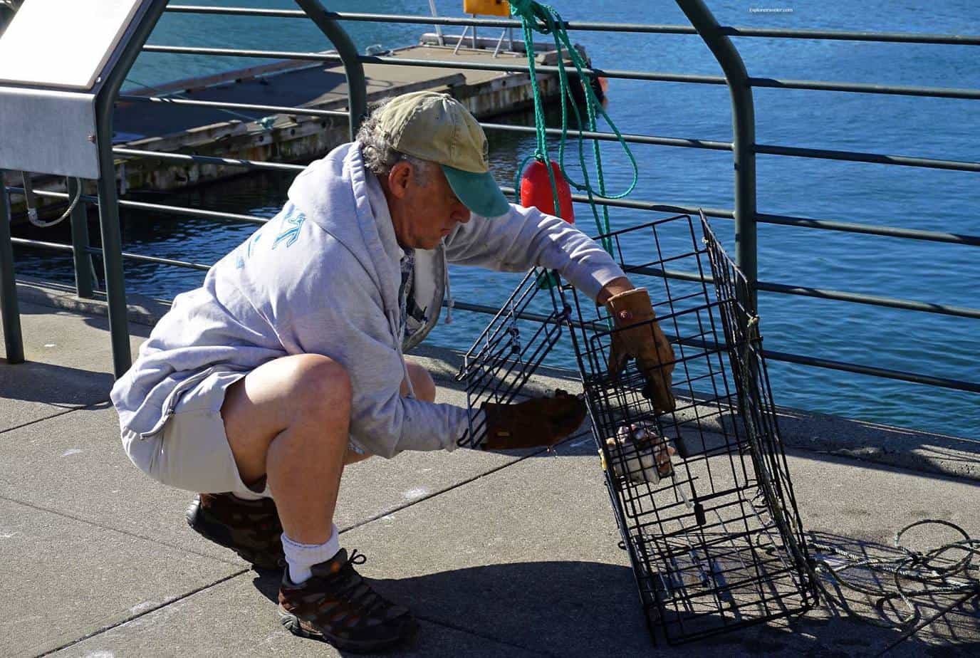 صيد الأسماك