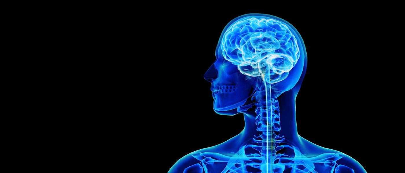 دليل للعلاج العصبي من أجل صحة دماغية أفضل