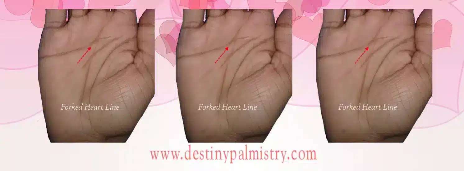 forked heart line