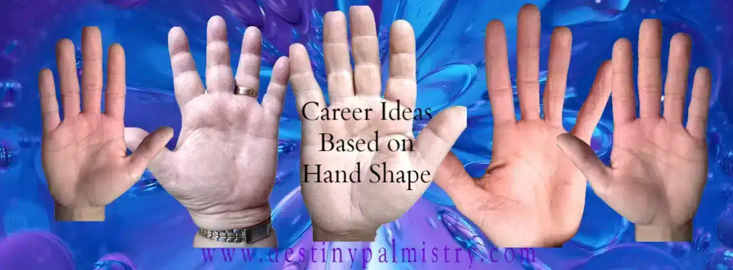 career in palmistry