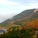 Fall Foliage Canda