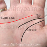 heart line