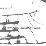 narrow hand