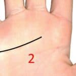 straight heart line