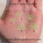 lotus flower symbol, lotus sign, palmistry lotus sign, palm symbol lotus flower, lotus flower sign, palm signs,