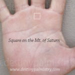 square mark on the palm