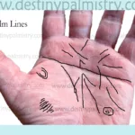 rare palm lines