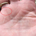 Trident mark, trident meaning palmistry