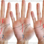 five types of fate line on the palm, which fate line