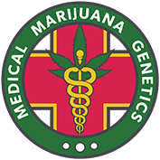 Medical marijuana Genetics Cannabis Seed breeders