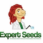Expert Seeds cannabis seed bank logo