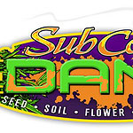 Subcools The Dank weed Seeds
