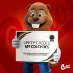 Certifica&ccedil;&otilde;es em colch&otilde;es: quais procurar na hora de escolher o modelo ideal?