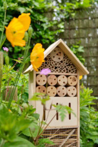 Bee Happy – A Celebration Of Bees, Honey & Ice Cream Image 6 bee hotel with wildflowers Frosted Fusions Bee Happy – A Celebration Of Bees, Honey & Ice Cream Image 6 bee hotel with wildflowers Frosted Fusions