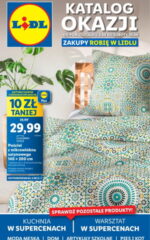 Gazetka lidl Katalog okazji