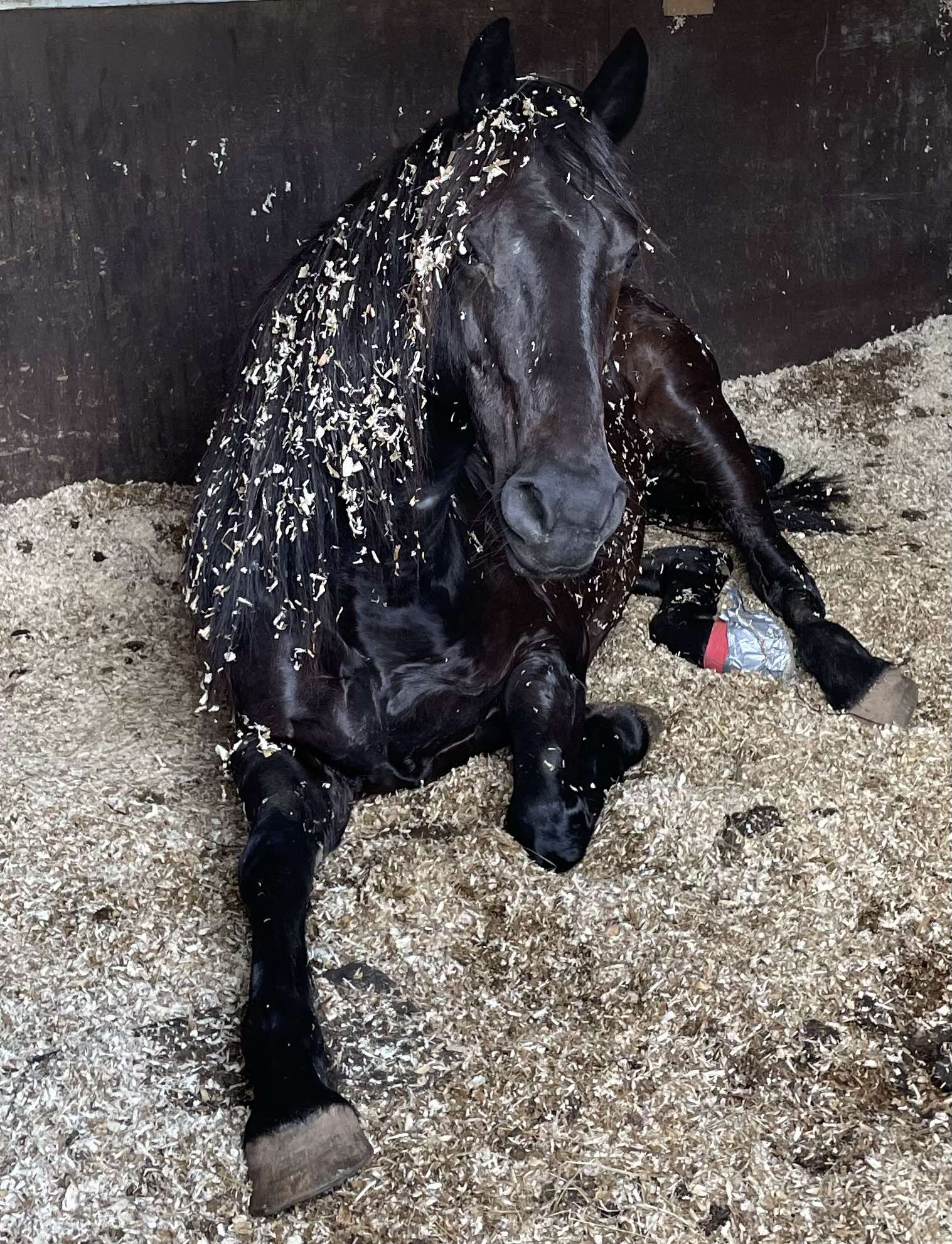 abscess