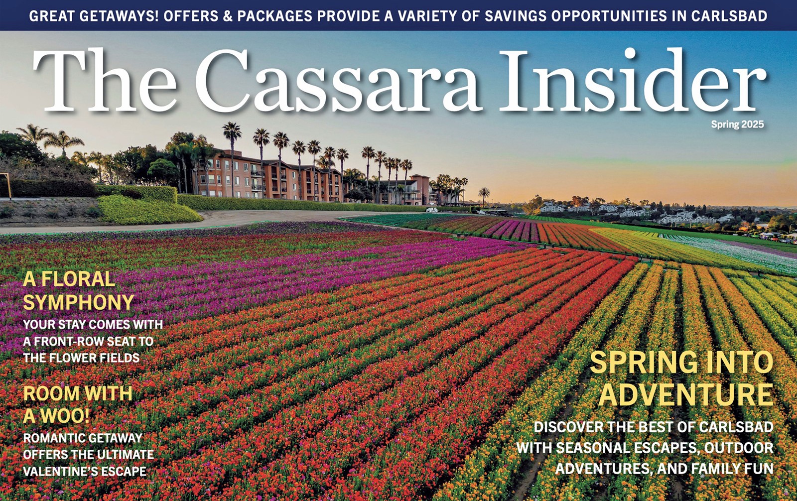 The Cassara Insider Spring Edition