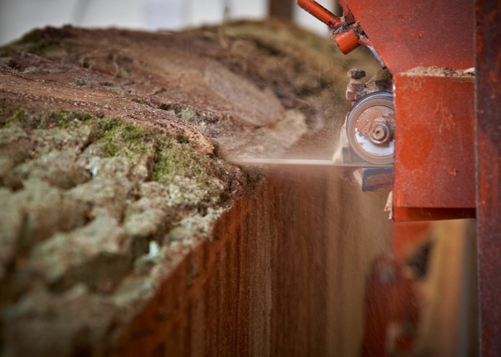 From Tree to Table: The Journey of Our Craft