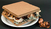 dairy-free-delights-creating-rich-homemade-vegan-ice-cream-image-3-cardboard-sandwich-with-mosses-and-bark-inside-served-on-white-plate-dark-background-frosted-fusions