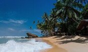homemade-coconut-ice-cream-recipe-image-1-tropical-white-sandy-beach-with-waves-splashing-and-coconut-palm-trees-frosted-fusions