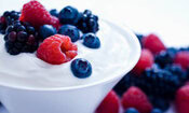 To Churn Or Not To Churn Which Ice Cream Making Method Suits You Best Image 5 single ziplock bag frosted fusions