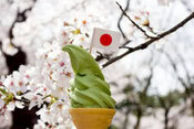 Homemade Matcha Ice Cream Recipe – A Taste Of Japan image 3 ice cream waffle cones filled with green matcha soft serve with Japanese Flag and blossom tree Frosted Fusions
