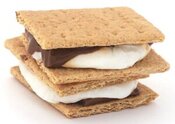 Smores-Homemade-Ice-Cream-Recipe-Ideas-image-1-smores-dessert-ice-cream-graham-crackers-and-marshamallows-frosted-fusions
