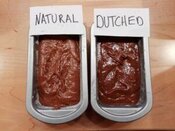 Irresistibly-Decadent-Homemade-Chocolate-Ice-Cream-pinterest-image-7-jpeg-natural-cocoa-powder-mixture-in-tray-vs-dutch-processed-cocoa-powder-mixture-in-tray-frosted-fusions Irresistibly-Decadent-Homemade-Chocolate-Ice-Cream-pinterest-image-7-jpeg-natural-cocoa-powder-mixture-in-tray-vs-dutch-processed-cocoa-powder-mixture-in-tray-frosted-fusions