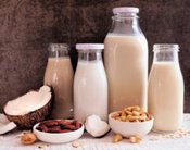 Step-by-Step Guide To Making Creamy Vegan Ice Cream At Home image 1 alternative milks with nuts Frosted Fusions