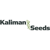 Kaliman Seeds cannabis seedbank