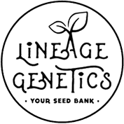 Lineage Genetics Cannabis Seed breeders