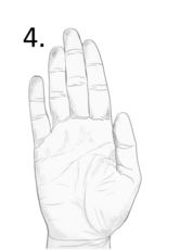 long fingers