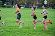 TIM_2565 TIM_2565