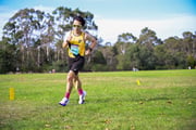 1_TIM_9371 1_TIM_9371