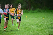 TIM_3294 TIM_3294