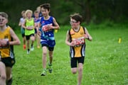 TIM_3349 TIM_3349